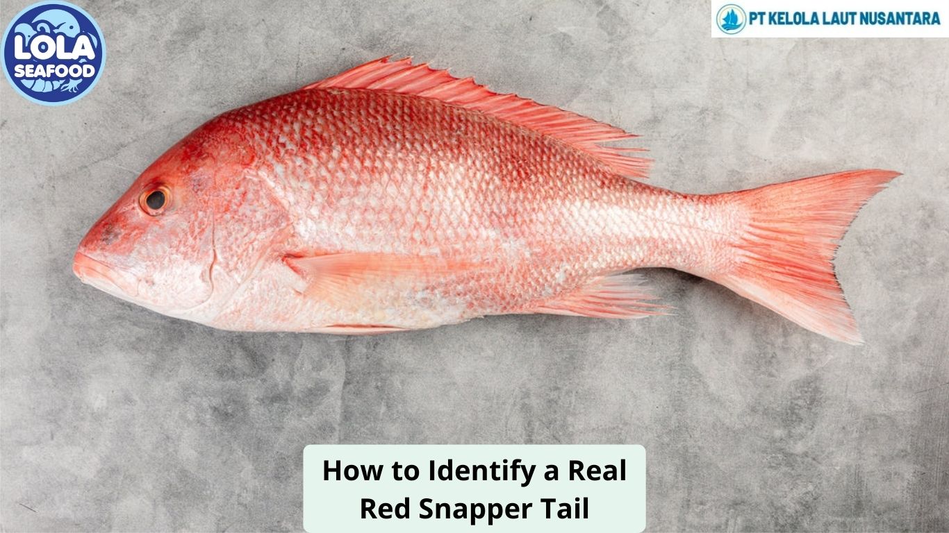 How to Identify a Real Red Snapper Tail